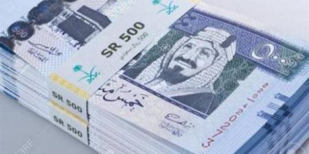 سعر الريال السعودي أمام الجنيه المصري في تعاملات اليوم الأحد 29-12-2024 - كورة نيوز