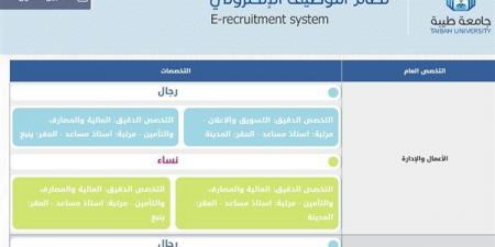 وظيفة جامعة.. الجامعة الألمانية بالقاهرة وجامعة طيبة والجامعة القاسمية تعلن عن وظائف أعضاء هيئة تدريس جدد.. سجل هنا - كورة نيوز