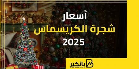 أسعار شجرة الكريسماس 2025 - كورة نيوز