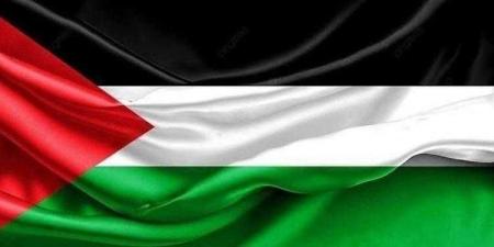 مصر تحيي اليوم الدولي للتضامن مع الشعب الفلسطيني