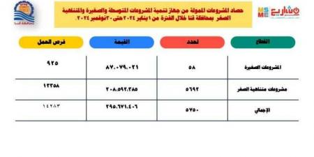 295 مليون جنيه لتمويل المشروعات الصغيرة ومتناهية الصغر خلال عام 2024 في قنا