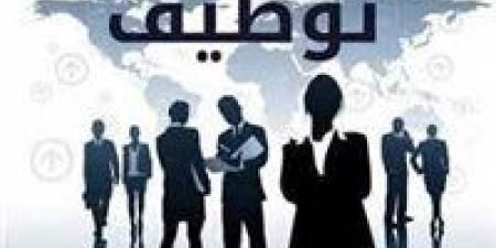 عاجل| فرص عمل متاحة للمصريين بالإمارات.. المرتب يصل لـ4000 درهم - كورة نيوز