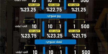 أسعار فائدة حسابات التوفير في البنك العربي الافريقي الدولي بداية من يناير 2025 - كورة نيوز