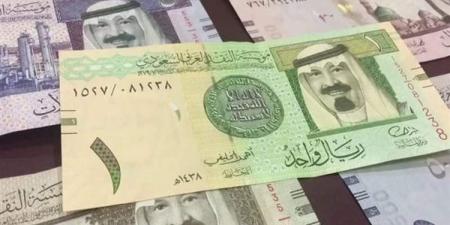 سعر الريال السعودي اليوم الأحد 29-12-2024 في البنك المركزي المصري - كورة نيوز