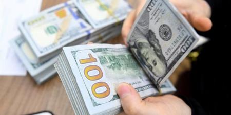 سعر الدولار اليوم الأحد 29-12-2024 في البنك المركزي المصري - كورة نيوز