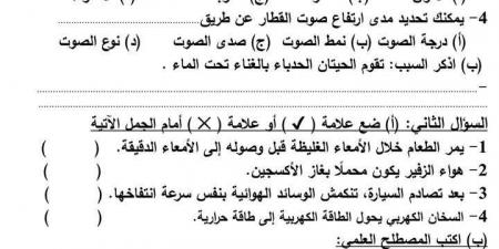 مراجعات نهائية.. 6 نماذج امتحان بالنظام الجديد في العلوم لـ الصف الرابع الابتدائي - كورة نيوز