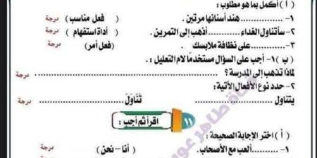 مراجعات نهائية.. ملخص النحو في 7 ورقات بالاجابات لـ الصف الثالث الابتدائي - كورة نيوز