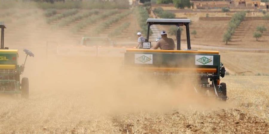 ما تأثيرات الرياح القوية المتكررة على الفلاحة والمحاصيل الزراعية بالمغرب؟