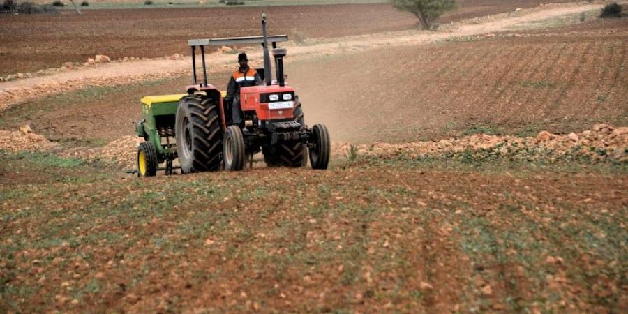 التساقطات المطرية الضعيفة تفاقم "تردد المزارعين" في حقول جهة طنجة