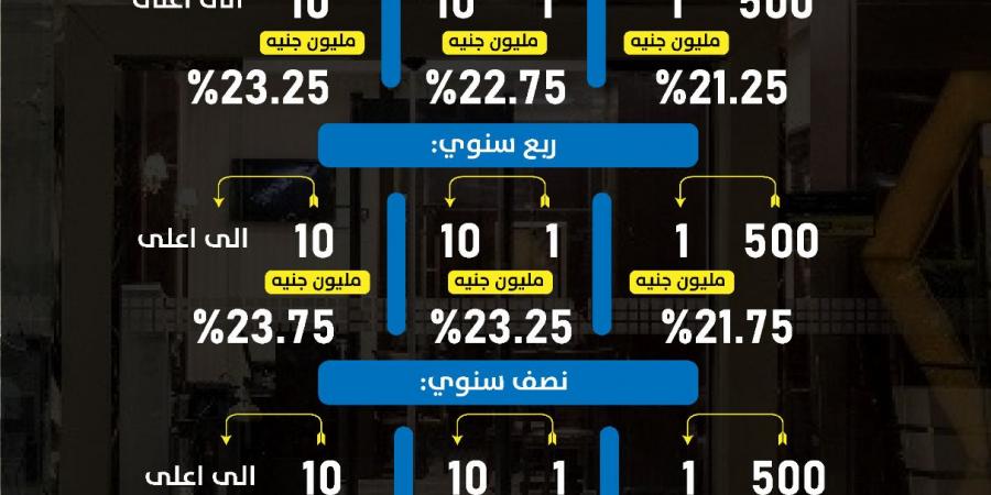 أسعار فائدة حسابات التوفير في البنك العربي الافريقي الدولي بداية من يناير 2025 - كورة نيوز