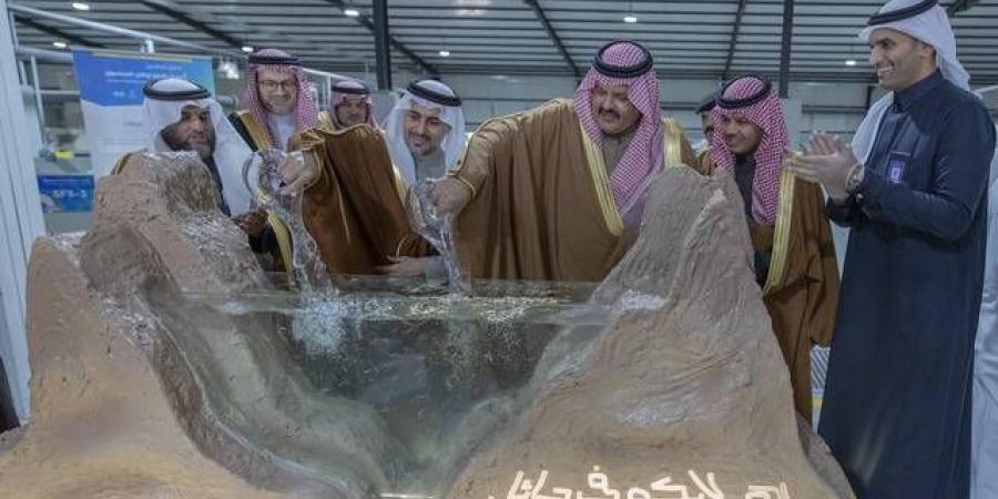 السعودية تدشن مركزاً لإنتاج السلمون في حائل.. ينتج 12 ألف طن سنوياً - كورة نيوز