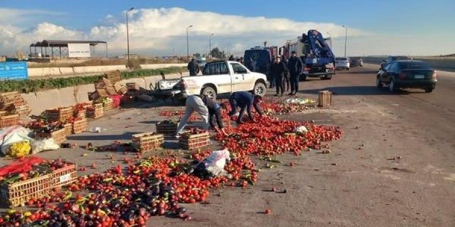 الطريق الصحراوي يتحول إلى سوق خضار بعد انقلاب سيارة طماطم - كورة نيوز