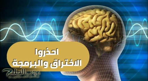 “معجزة مجتش علي بال حد”.. طعام بسيط متوفر في الأسواق برخص التراب يغذي المخ ويحسن بنية الدماغ ويقوي الذاكرة خلال وقت قصير .. تناوله فورا !!!